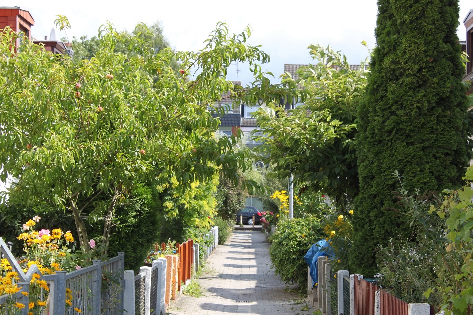 Stiller Weg 