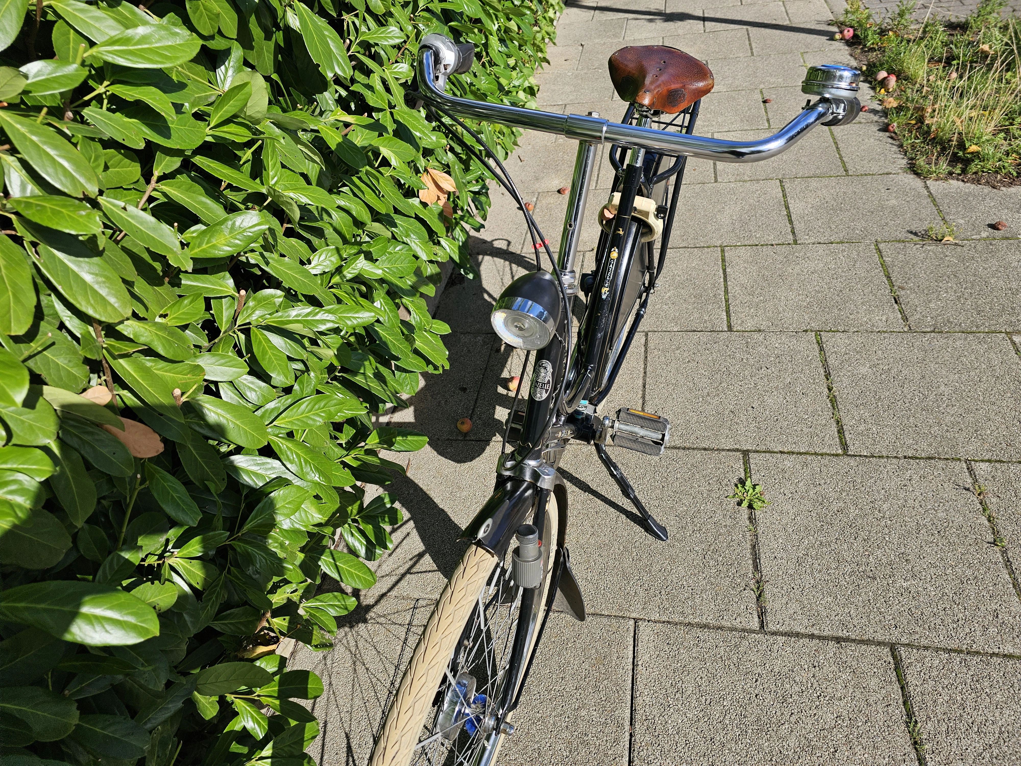 Vorne