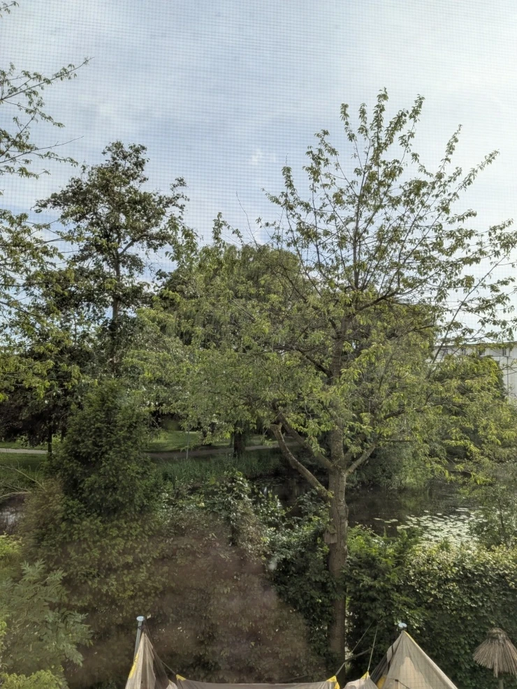 Gartenausblick 1