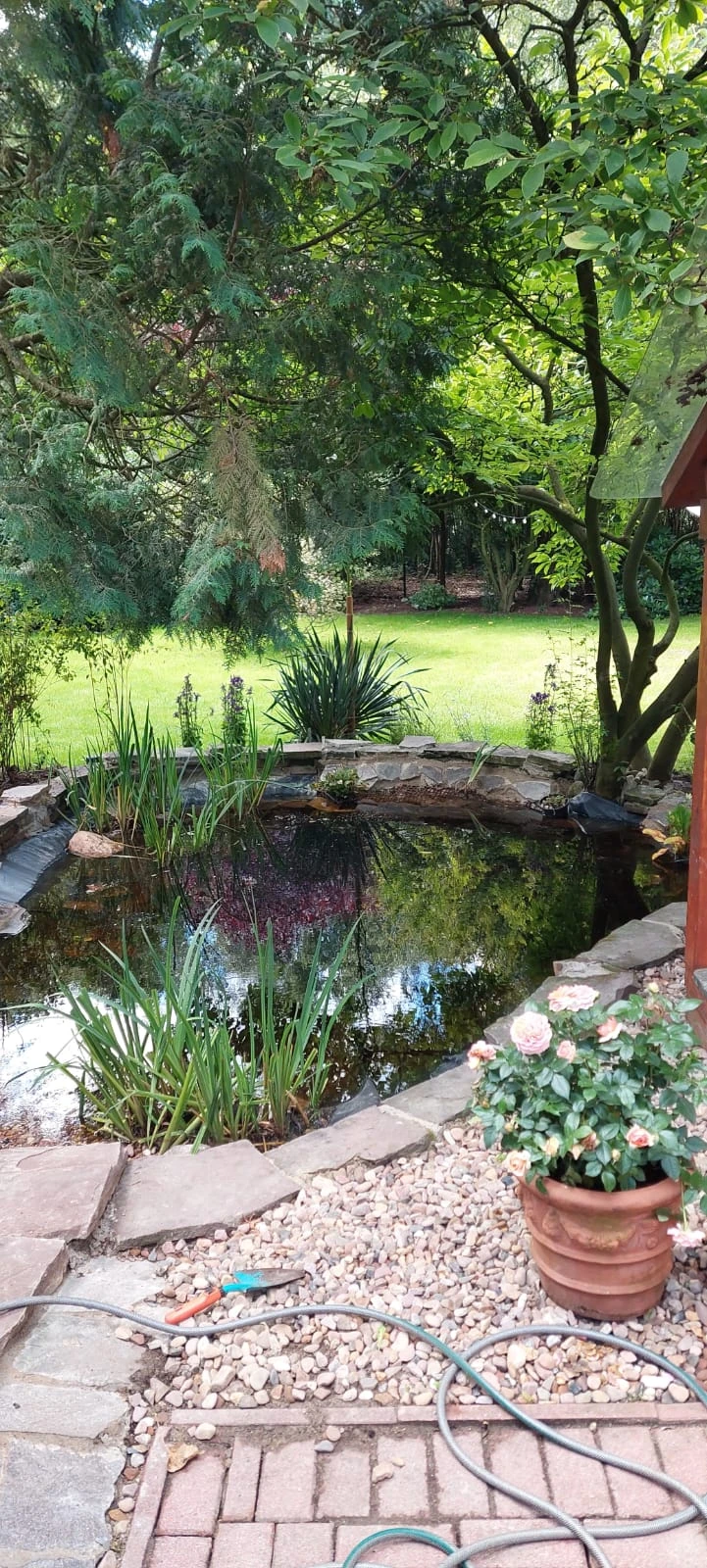 Blick auf Teich aus Wintergarten