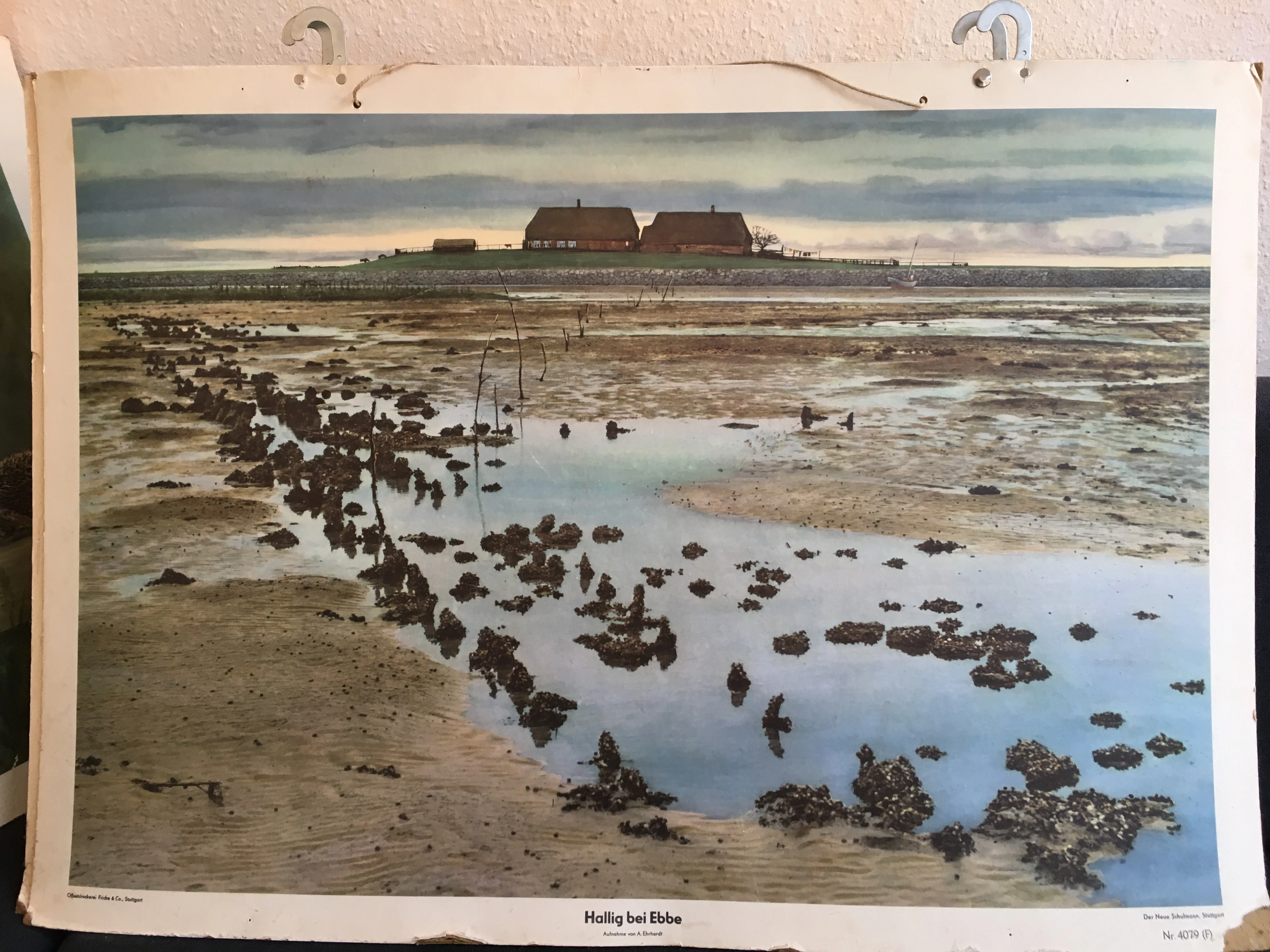 Hallig bei Ebbe