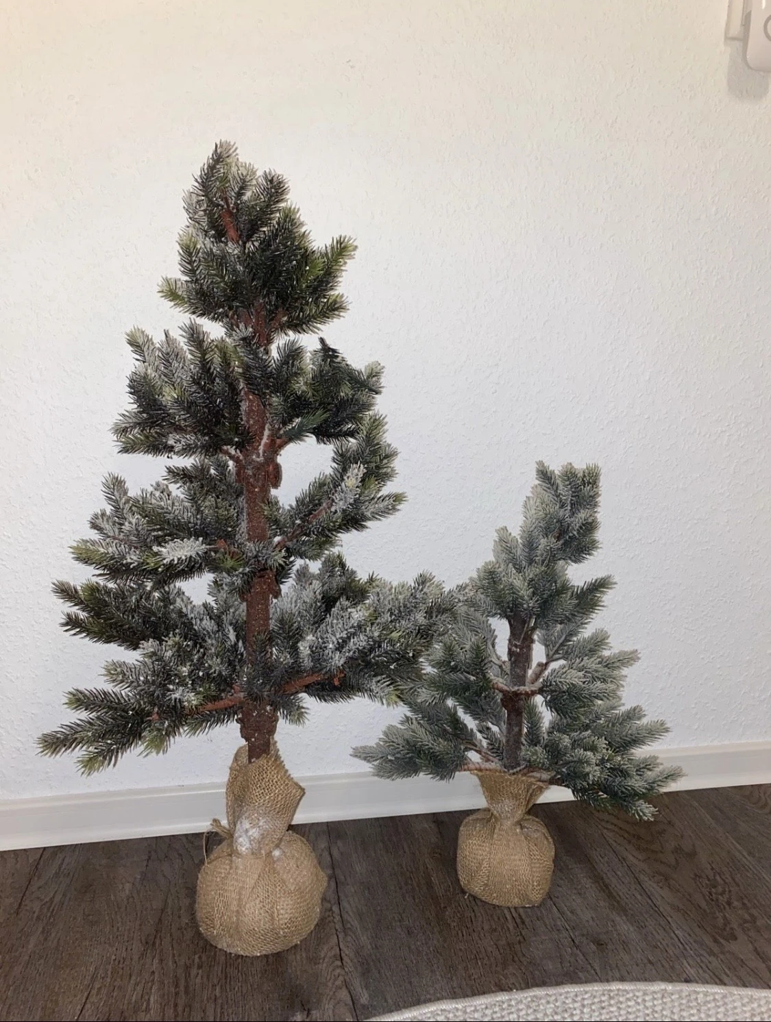 Tannenbaum