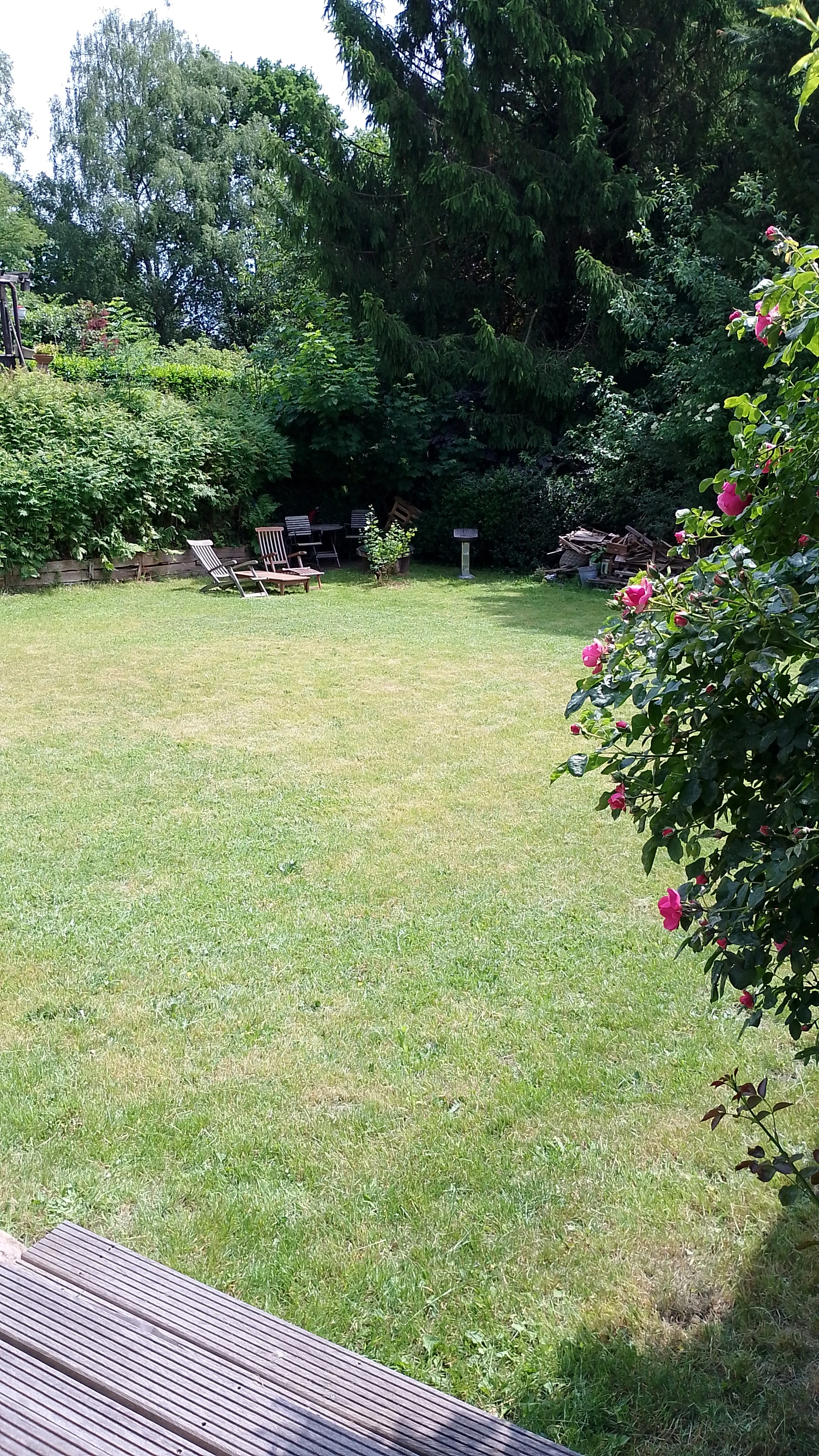 Garten 2
