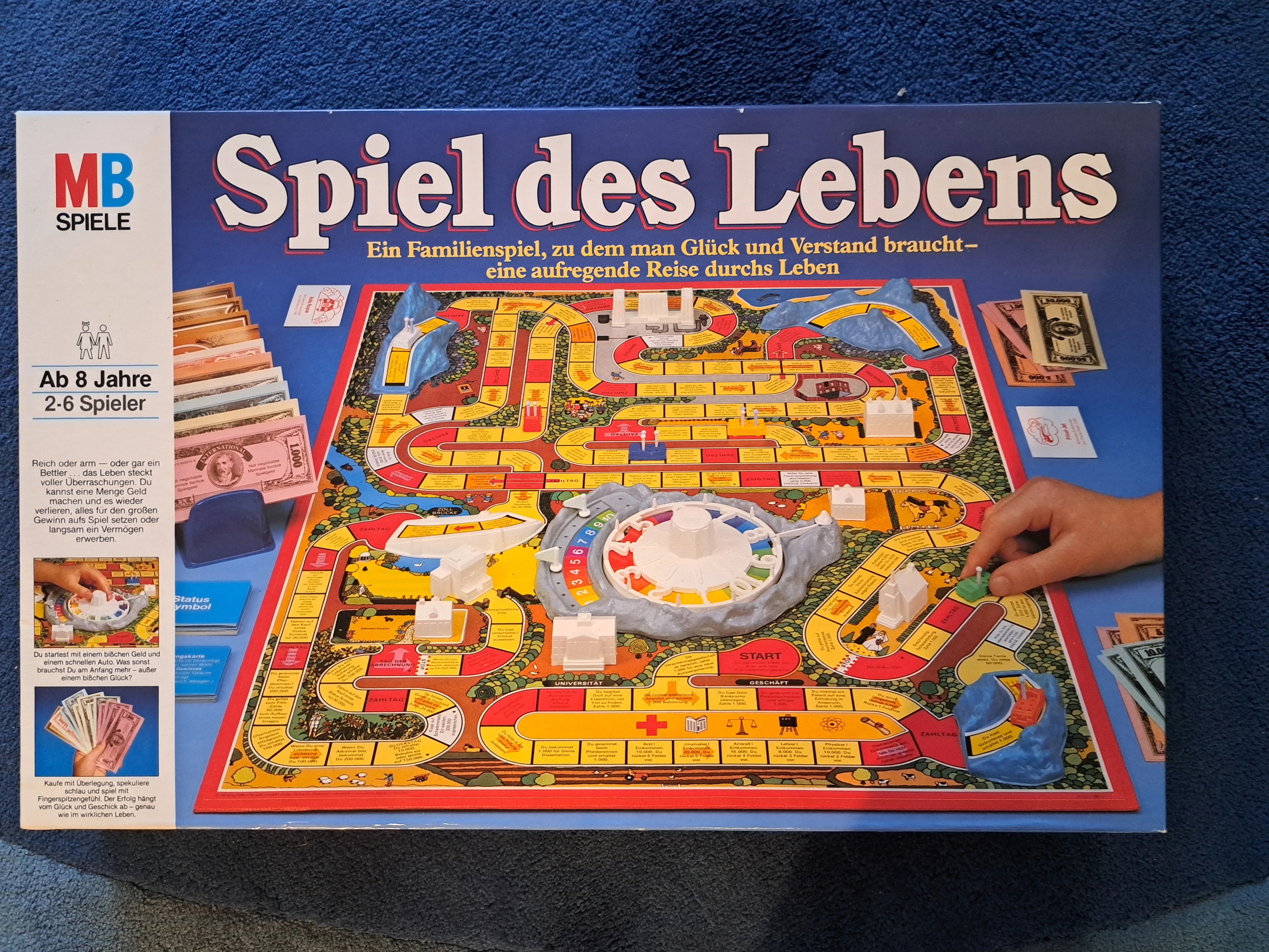 Spiel des Lebens Karton