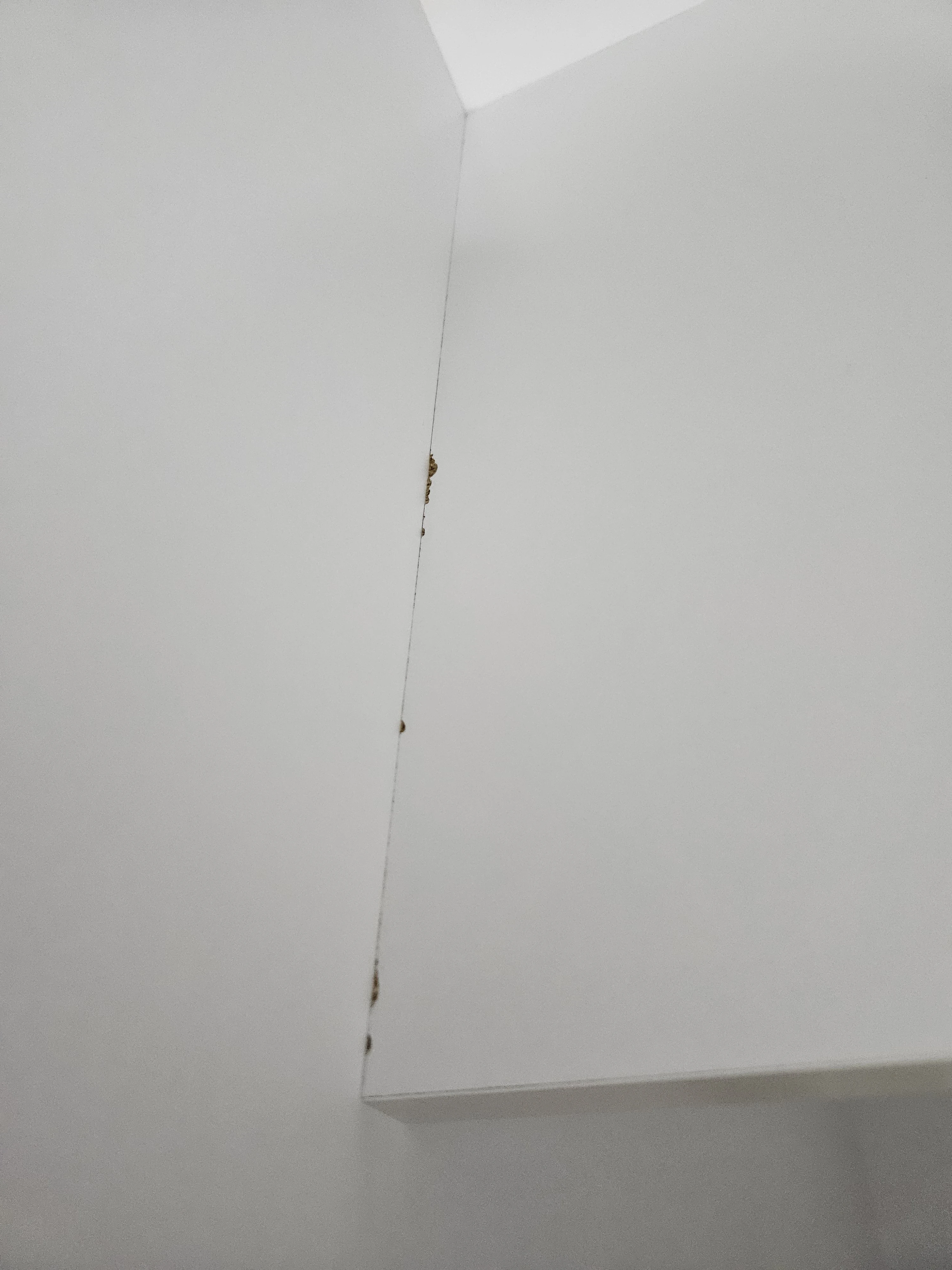 Abgeplstzte Stelle