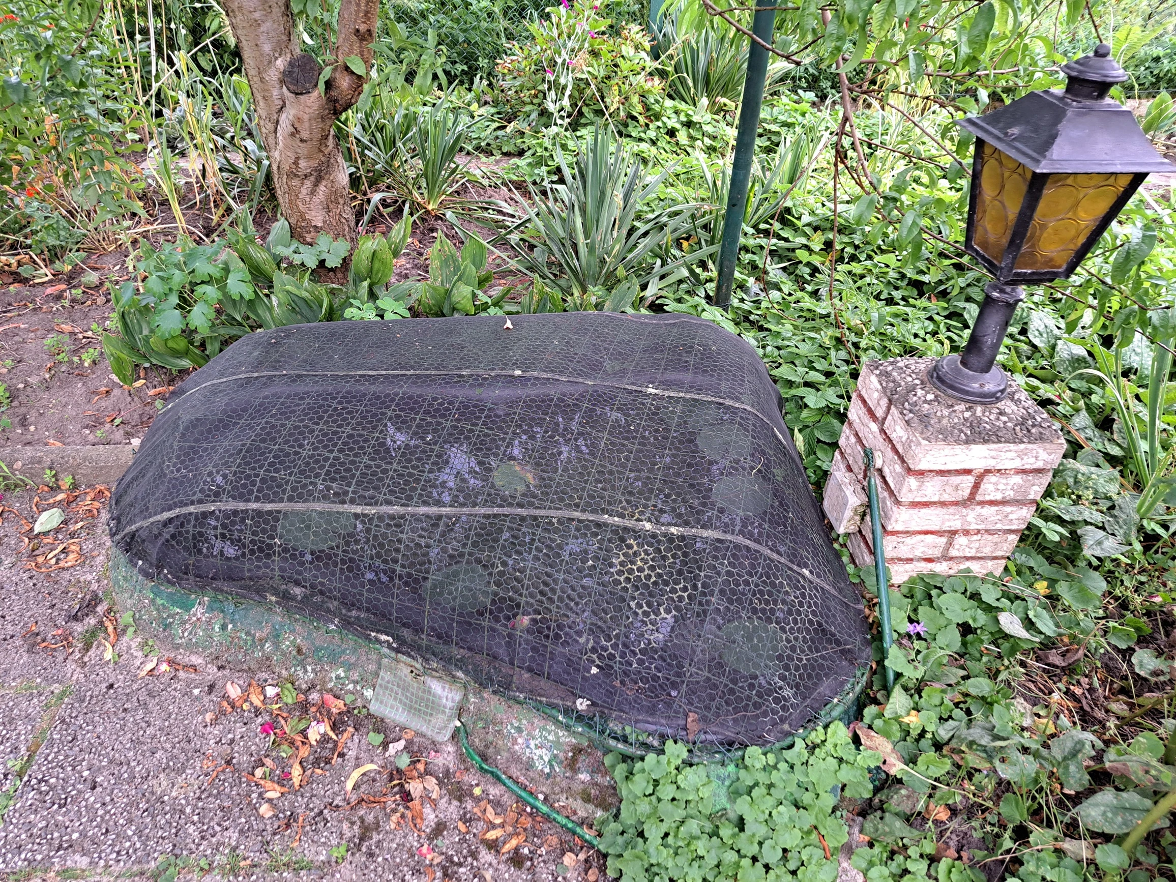 Fischteich mit Außenbeleuchtung