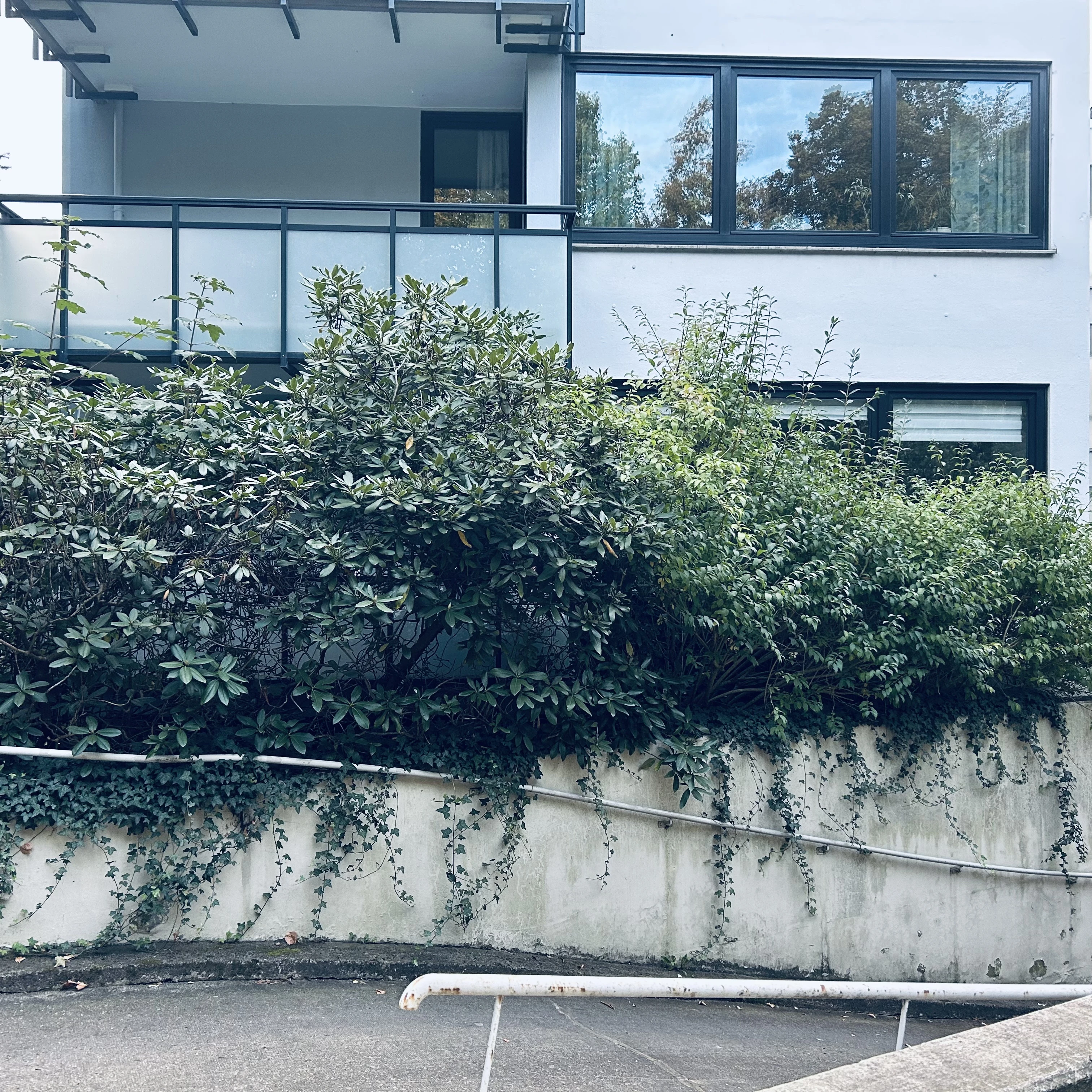 Wohnung 
