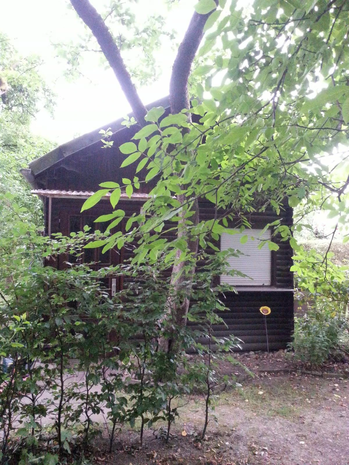 Giebel Ansicht