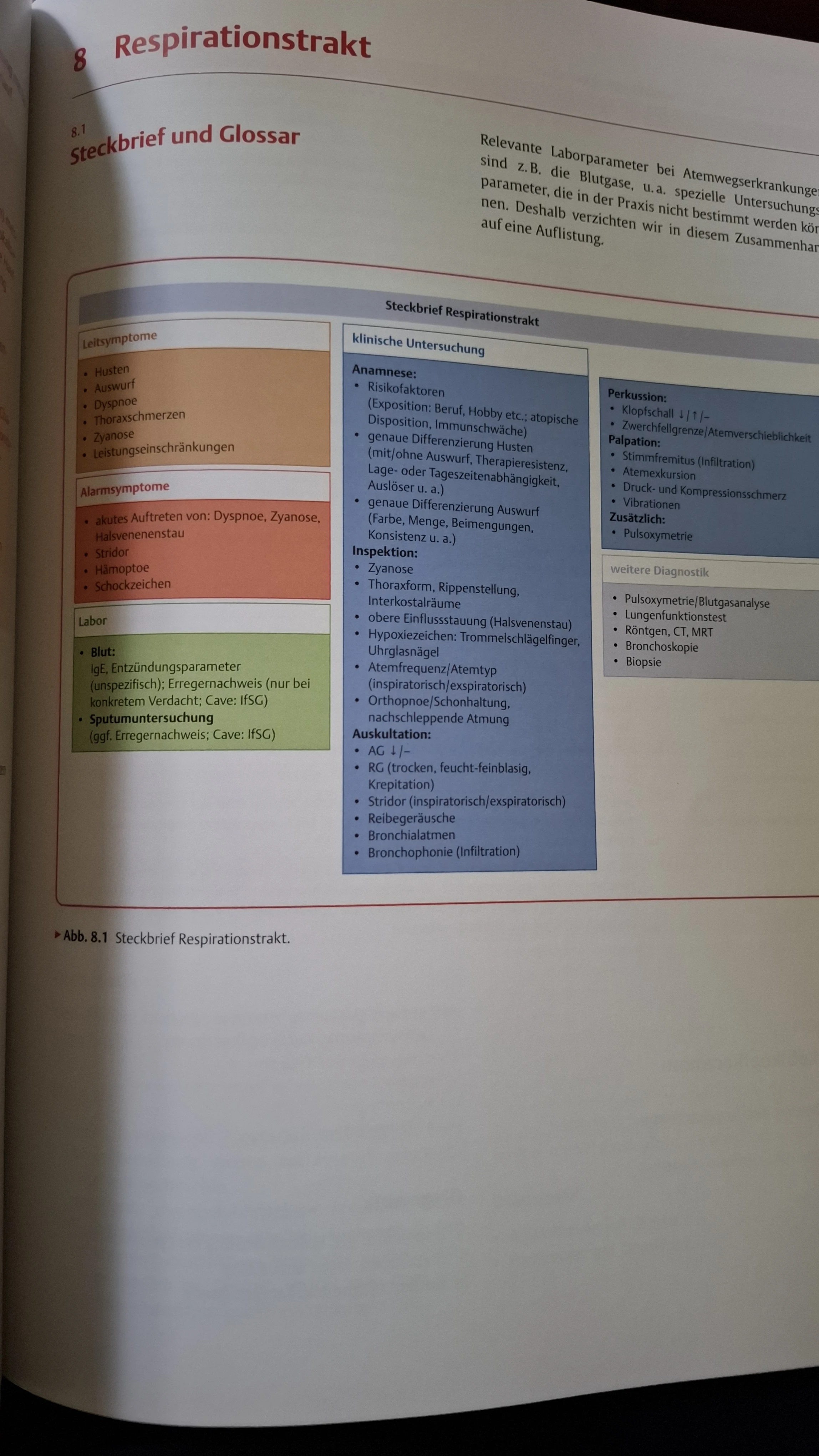 Einsicht 