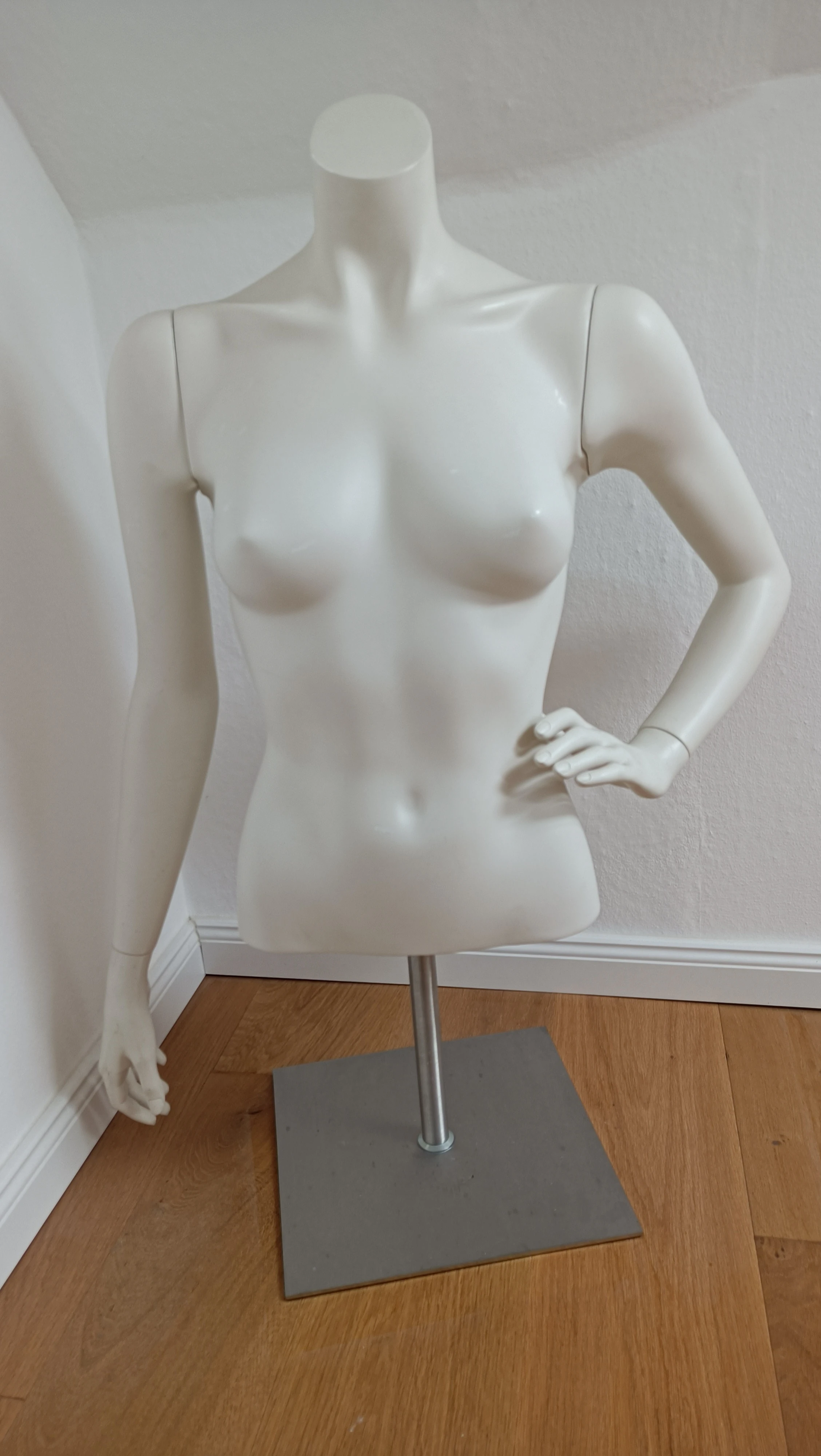 Damen Torso