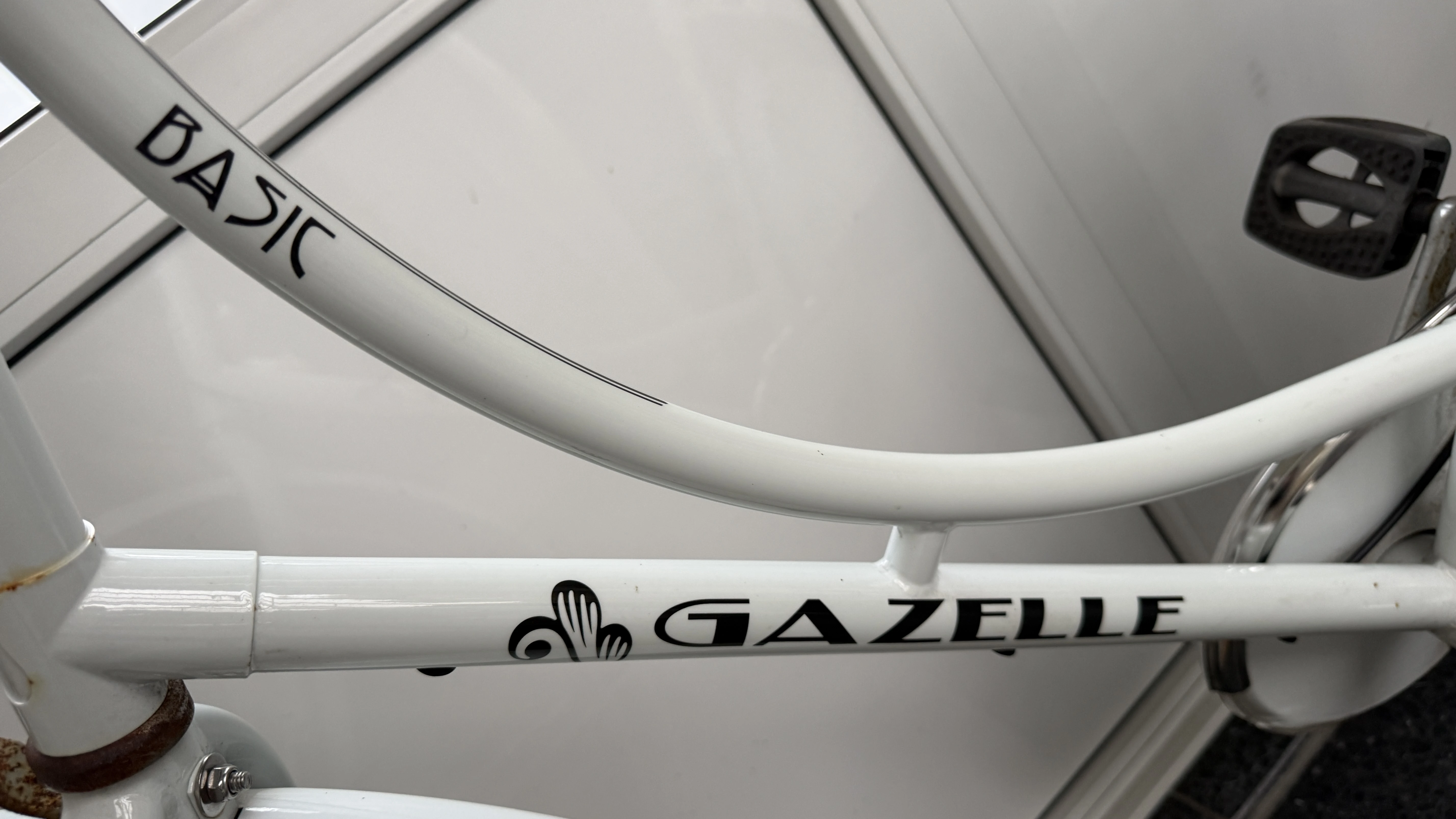 Gazelle