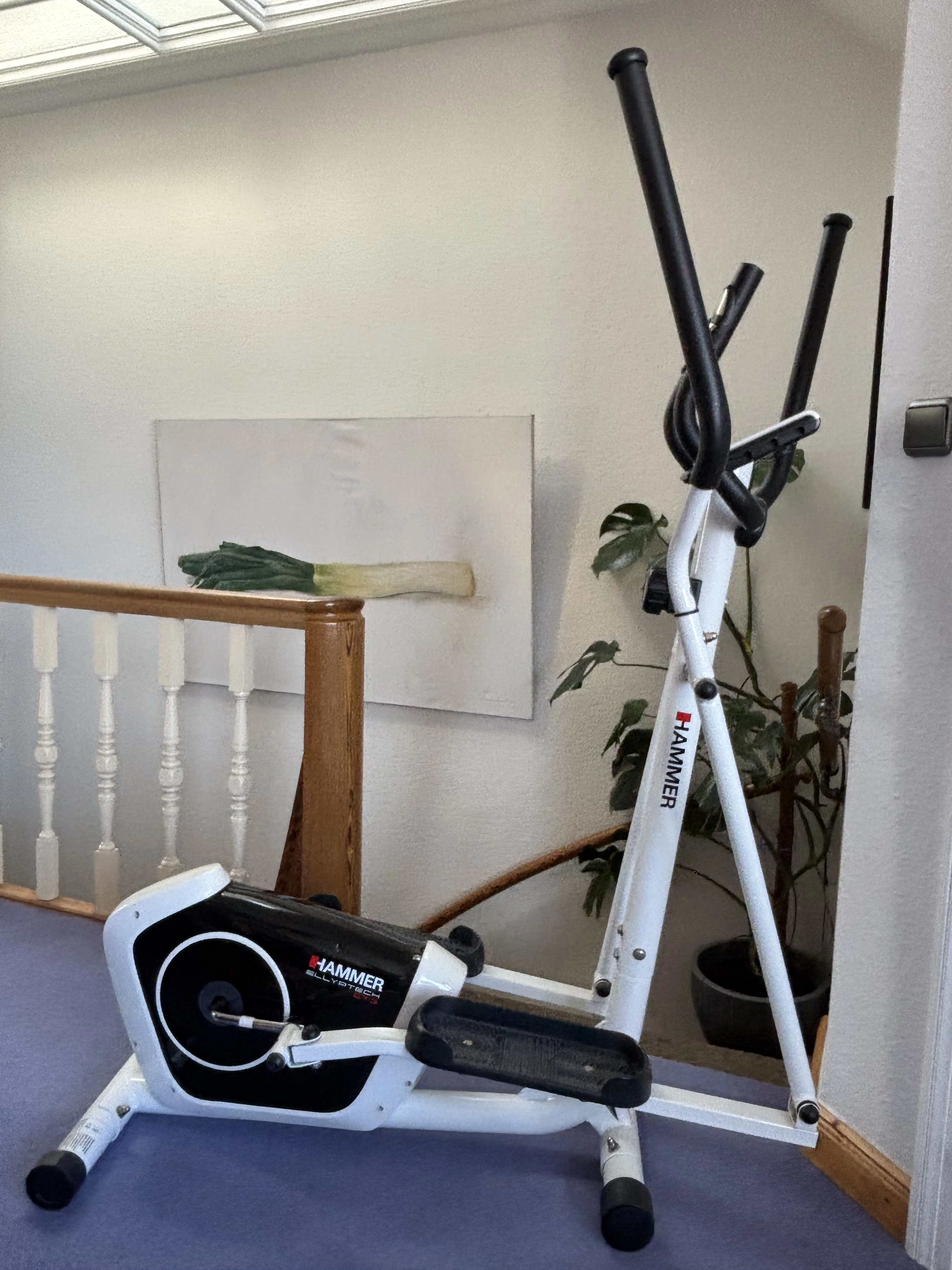 Crosstrainer v. Hammer