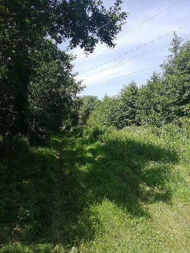 Natur