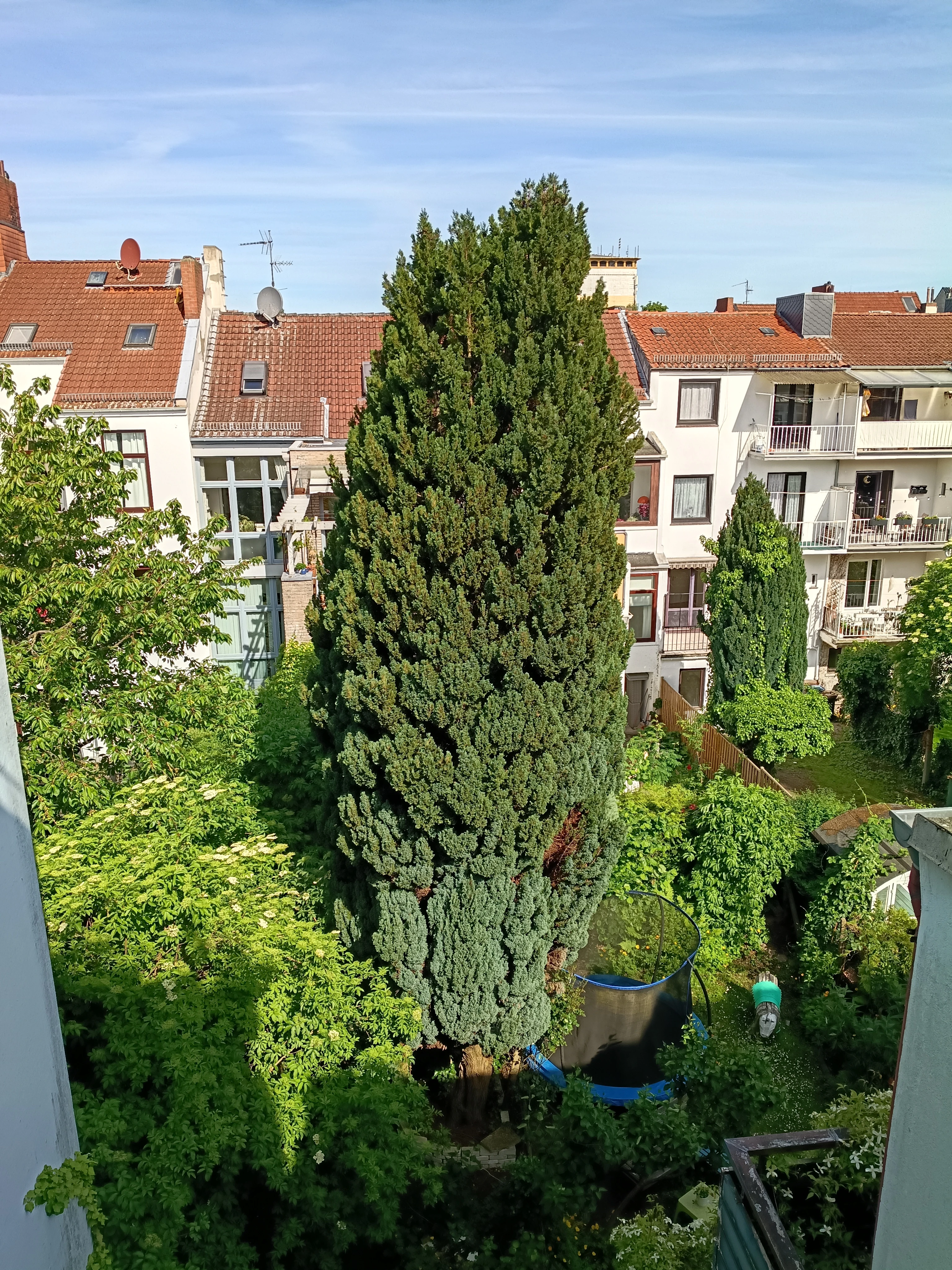 Terrasse Blick 