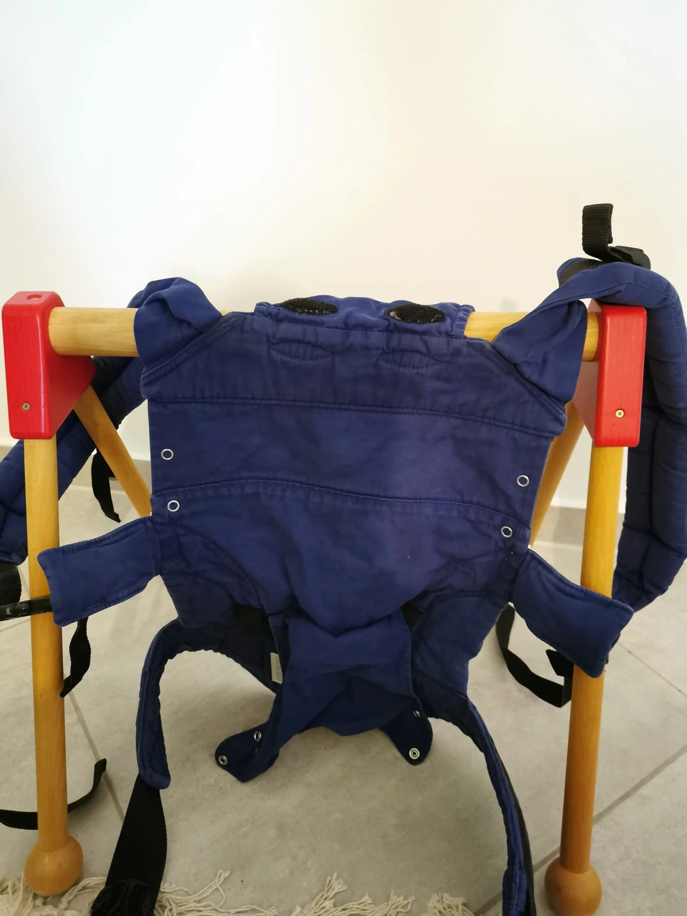Manduca 02