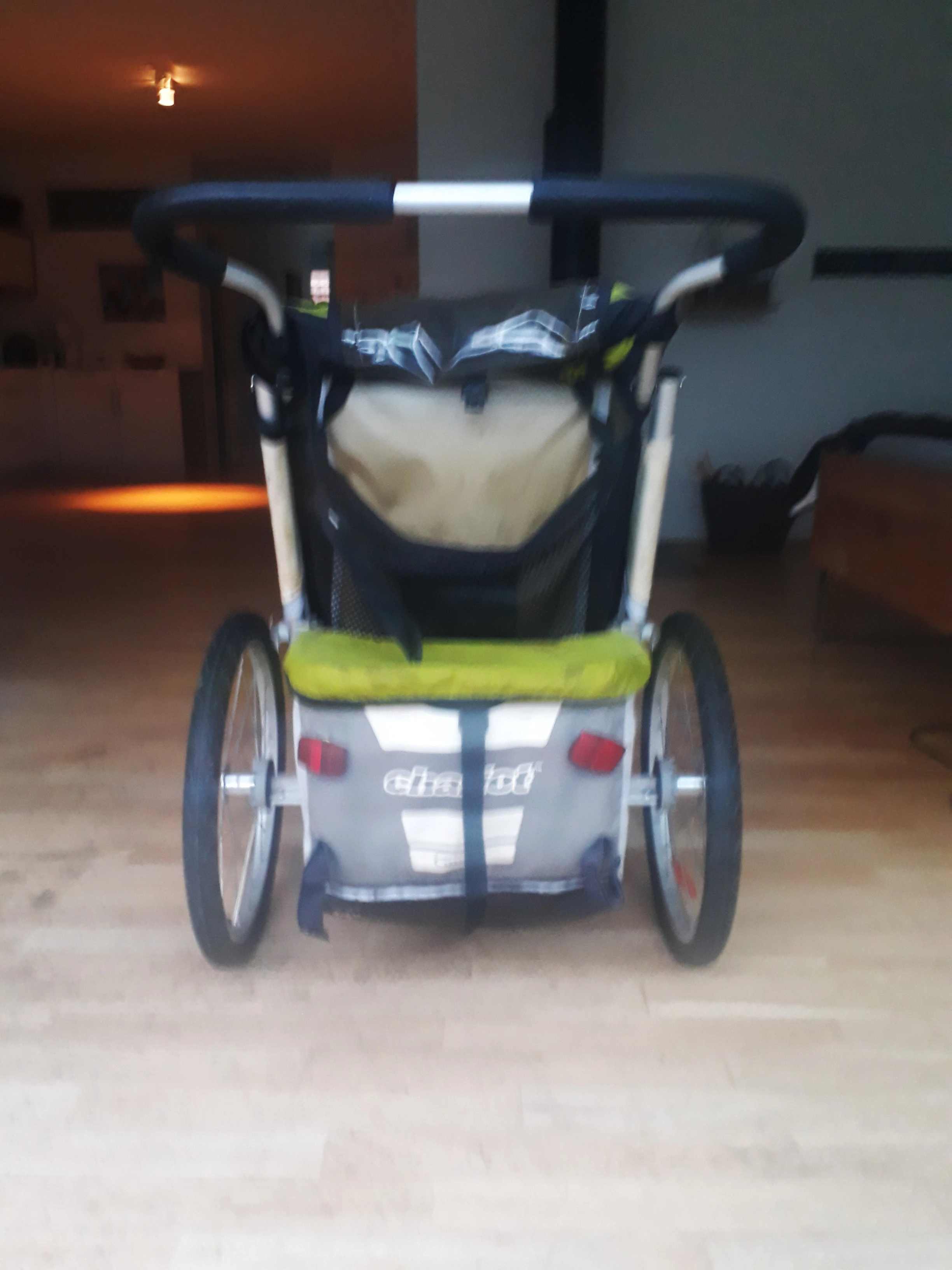 THULE CHARIOT COUGAR 1