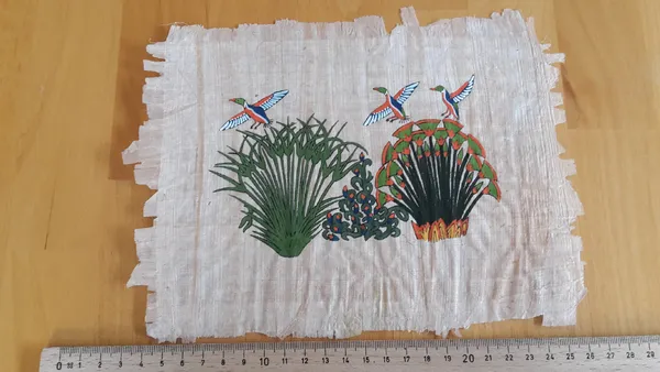 Papyrus Enten
