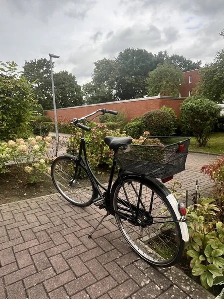 Gesamtbild des Fahrrads von hinten 