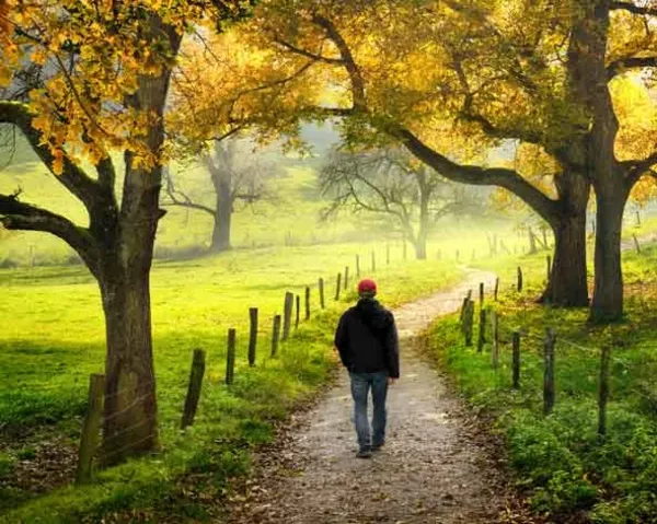Spaziergang