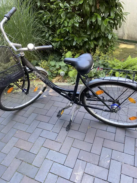 City Bike 