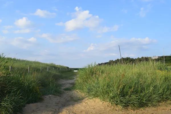 Sahlenburger Strand