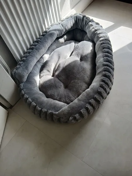 Hundekorb neu, 15 Euro 