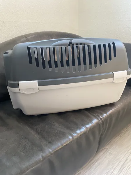 Transportbox