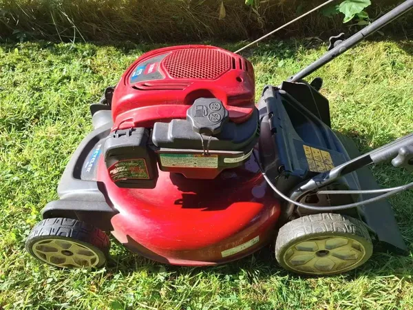 Toro1
