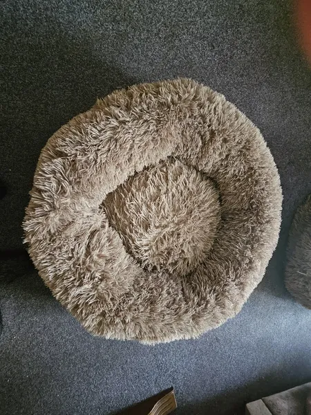 Hundebett 1