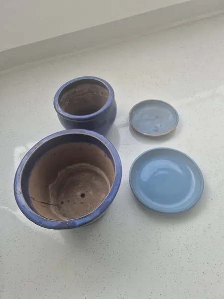 Blumentöpfe