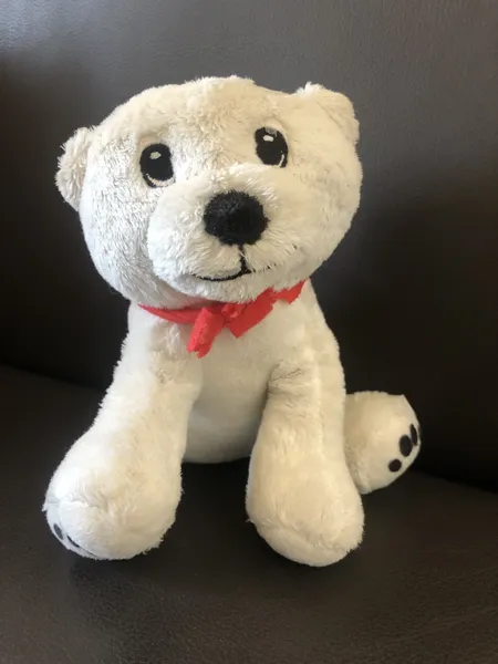 Teddy-Eisbär  -Sammlerstück- 