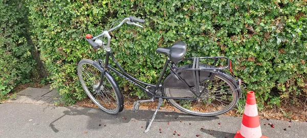 Damen Hollandrad Gazelle 