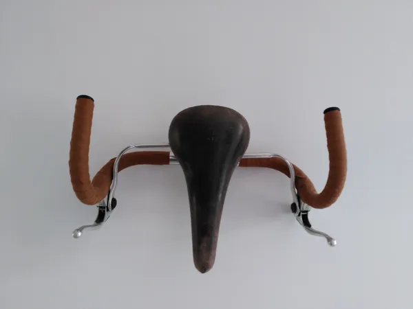 Fahrrad-Geweih