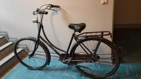Gazelle Classic Hollandrad 