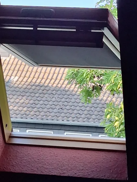 Blick aus dem Fenster