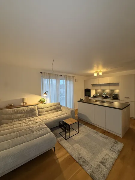 Wohnzimmer mit Einbauküche