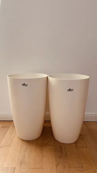 Blumentopf 