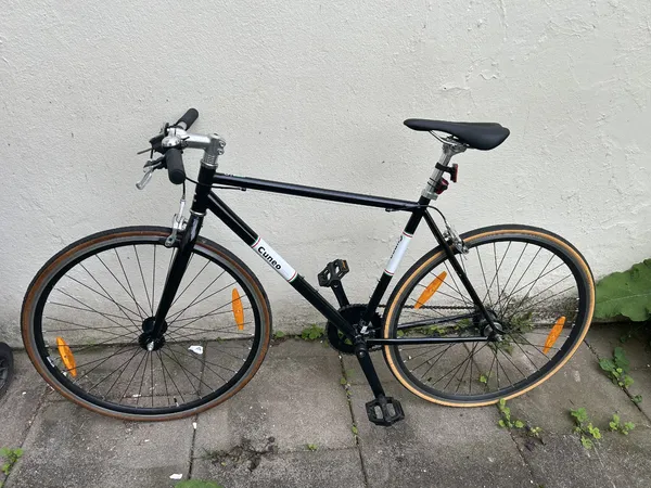 Cuneo CX300