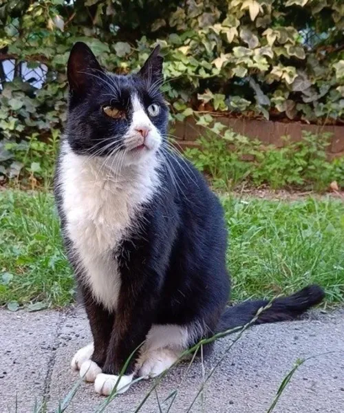 Das ist unser Tom(my)