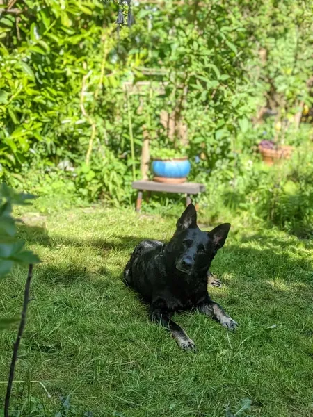 Urlaub