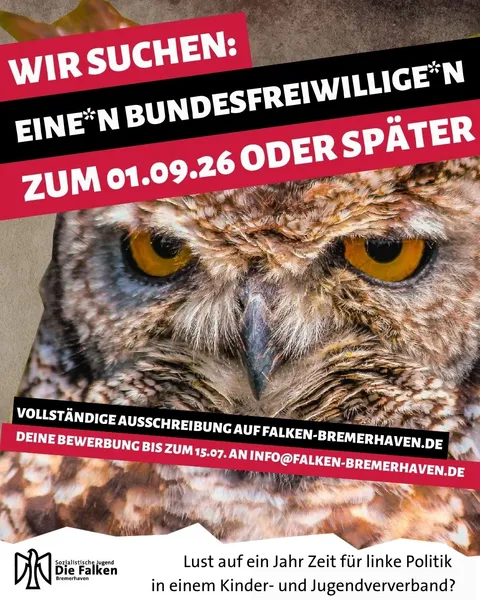 Dein Bundesfreiwilligendienst bei den Falken Bremerhaven!