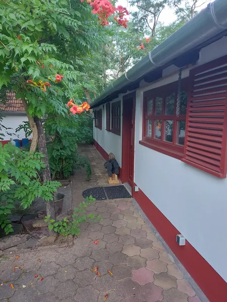 Mitte in der Natur 
