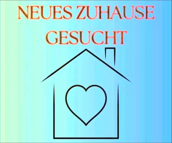 Zuhause gesucht