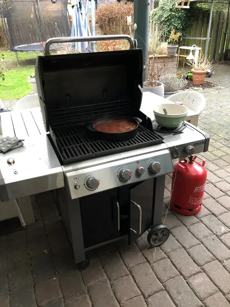Weber GBS 